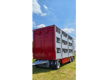 Rơ moóc chở gia súc Pezzaioli RBA 32/TRZYOSIOWA PRZYCZEPA-2XBYDŁO,3X TRZODA/HYDRAULICZNIE PODNOSZONY DACH I PODŁOGI / OŚ ŚRODKOWA PODNOSZONA: hình 4