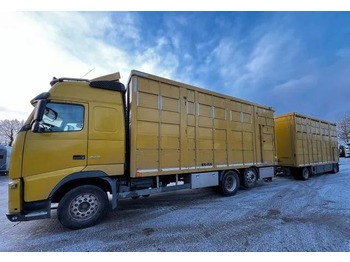 Xe tải chở gia súc VOLVO FH 420