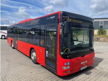 Xe bus đô thị MAN Lion's City A20
