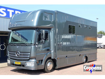 Xe tải chở ngựa MERCEDES-BENZ Atego 816