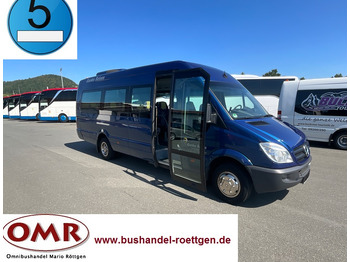 Xe bus mini MERCEDES-BENZ Sprinter 519