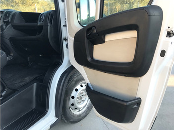 Cho thuê FIAT DUCATO FIAT DUCATO: hình 5