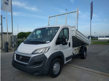 Xe ben nhỏ FIAT Ducato