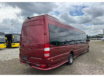 Xe bus mini, Xe van chở khách Mercedes-Benz Sprinter 519: hình 5