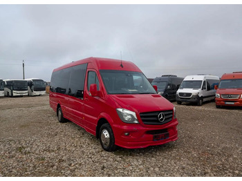 Xe bus mini MERCEDES-BENZ Sprinter 519