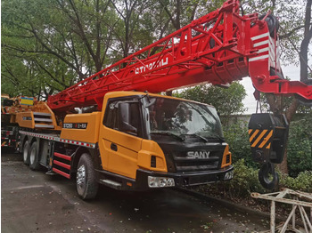 Cẩu bánh lốp SANY STC250: hình 2
