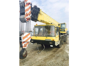 Cẩu bánh lốp Bumar 42 Tons: hình 4
