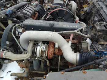 Động cơ IVECO Stralis