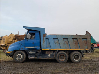 Cho thuê Tatra Jamal  Tatra Jamal: hình 2