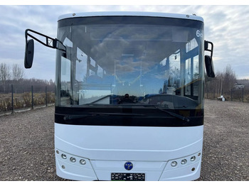 Xe bus ngoại ô Temsa Tourmalin: hình 2
