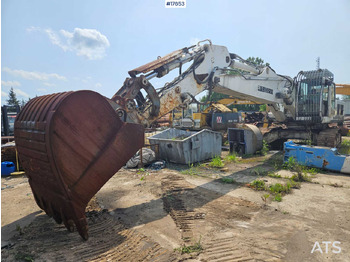 Máy xúc bánh xích LIEBHERR R 954