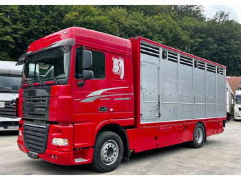 Xe tải chở gia súc DAF XF 105 460