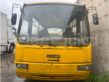 Xe buýt trường học IVECO