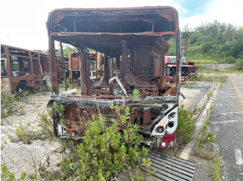 Xe bus đô thị IVECO
