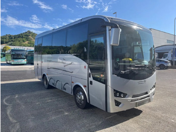 Xe bus đô thị