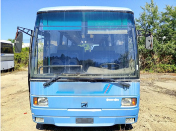 Xe bus đô thị MAN