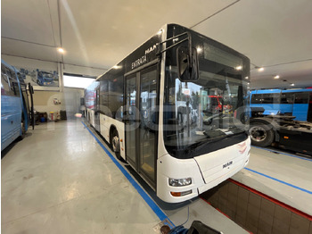 Xe bus đô thị MAN Lion's City A37