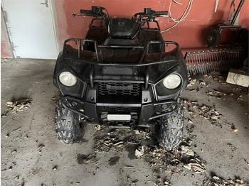 ATV/ Xe 4 bánh Kawasaki 300 BRUTE FORCE 2*4: hình 2 ATV/ Xe 4 bánh Kawasaki 300 BRUTE FORCE 2*4: hình 2