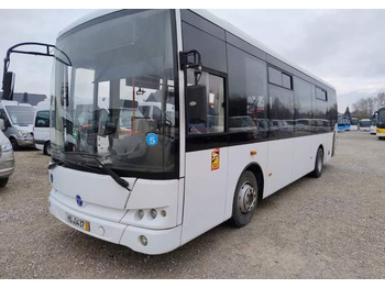 Xe bus đô thị TEMSA