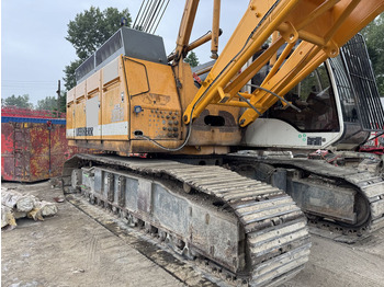 Cần cẩu bánh xích LIEBHERR