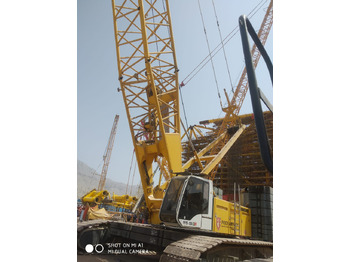 Cần cẩu bánh xích LIEBHERR