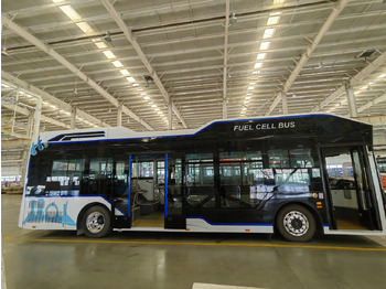 Xe bus đô thị
