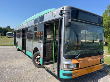 Xe bus đô thị IRISBUS