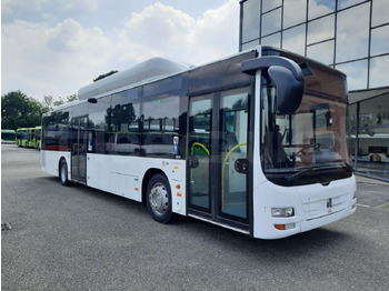 Xe bus đô thị MAN Lion's City A21