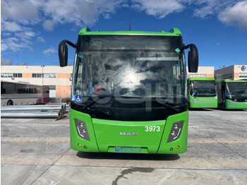 Xe bus ngoại ô Man Castrosua: hình 2