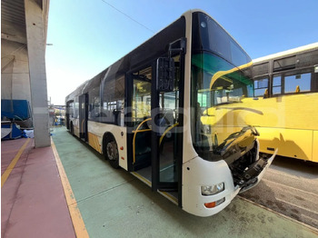 Xe bus đô thị MAN Lion's City