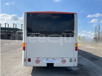Cho thuê  Mercedes-Benz Citaro Mercedes-Benz Citaro: hình 5