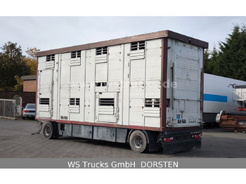 Rơ moóc chở gia súc KABA 2 Stock  Hubdach Vollalu 7,30m Viehanhänger: hình 2
