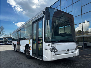 Xe bus đô thị