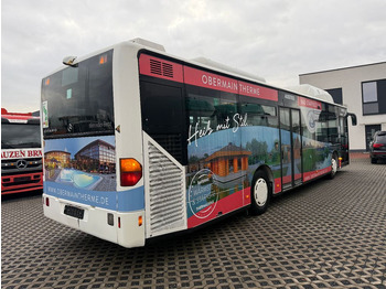 Xe bus đô thị Mercedes-Benz A19 Citaro: hình 2