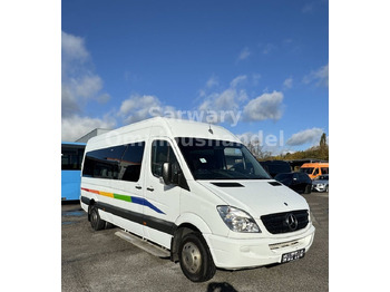 Xe bus mini MERCEDES-BENZ Sprinter 516