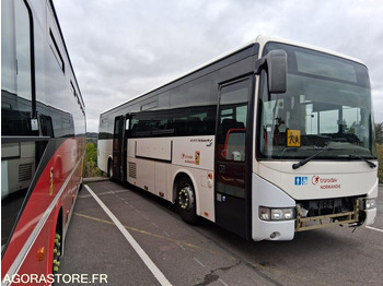 Xe bus IVECO