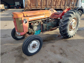 Máy cày MASSEY FERGUSON