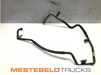 : ảnh tiêu đề trên trang