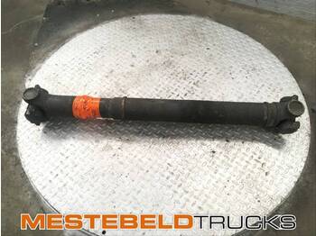 Bán trục SCANIA
