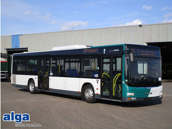 Xe bus đô thị MAN Lion's City A21