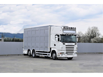 Xe tải chở gia súc Scania R 500 TIERTRANSPORTWAGEN 7,10m / 4STOCK: hình 2
