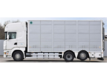 Xe tải chở gia súc Scania R 500 TIERTRANSPORTWAGEN 7,10m / 4STOCK: hình 3