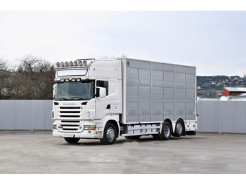 Xe tải chở gia súc SCANIA R 500