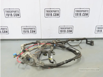 Cáp/ Dây nịt DAF