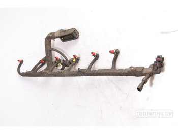 Cáp/ Dây nịt DAF