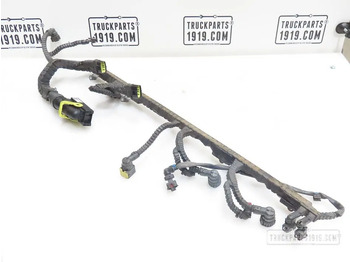 Cáp/ Dây nịt DAF