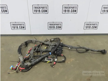 Cáp/ Dây nịt DAF