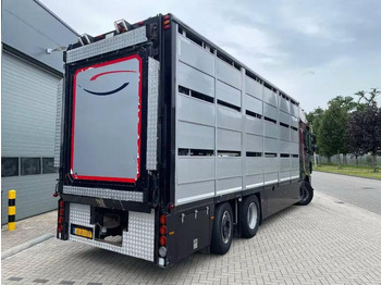 Cho thuê DAF XF 460 - Animal transporter DAF XF 460 - Animal transporter: hình 5 Cho thuê DAF XF 460 - Animal transporter DAF XF 460 - Animal transporter: hình 5