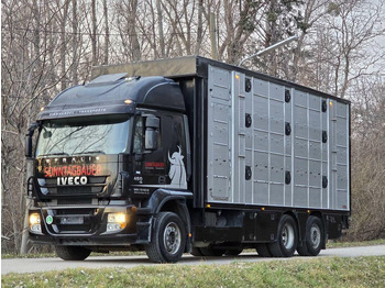 Xe tải chở gia súc IVECO Stralis