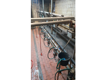 Trang thiết bị vắt sữa Melkstand: hình 2